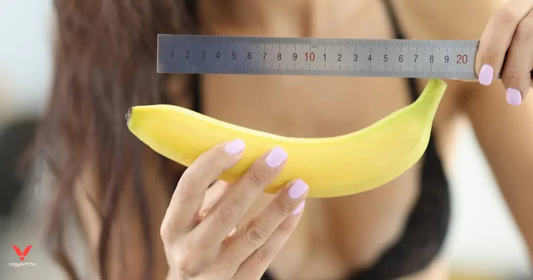 Egészséges péniszméretek és lehetőségek - Vágyaim.hu szexshop