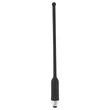 You2Toys DILATOR - szilikon húgycső vibrátor - fekete (8-11mm)