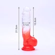Sunfo - tapadókorongos, herés dildó - 21cm (átlátszó-piros)