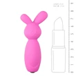 Easytoys Mini Bunny - szilikon csiklóvibrátor (pink)