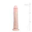 Easytoys - tapadókorongos extra nagy dildó (28,5cm) - natúr