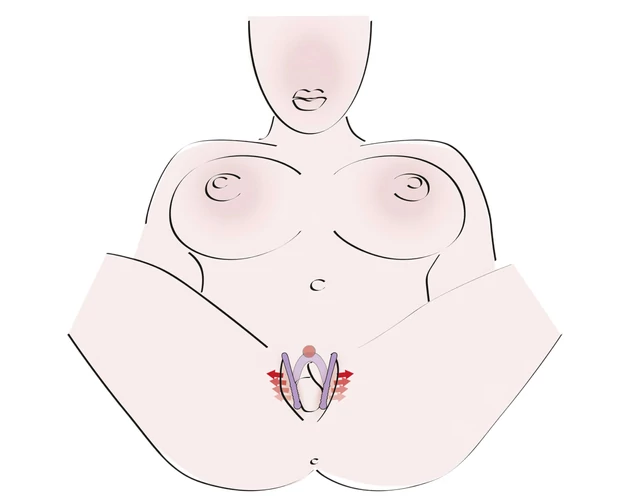 You2Toys - Intimate Spreader hüvely széthúzó