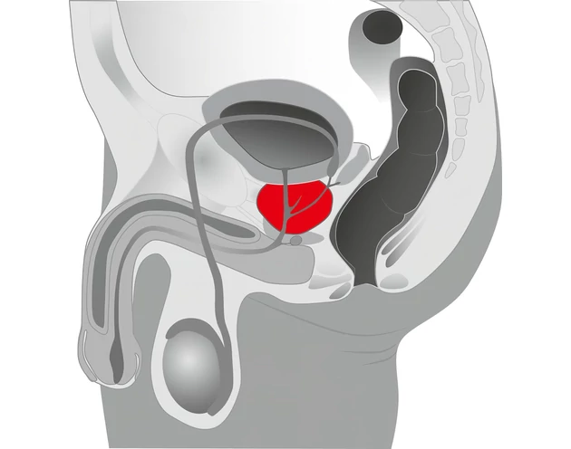 You2Toys - Prostate massager - forgó prosztata vibrátor (fekete)