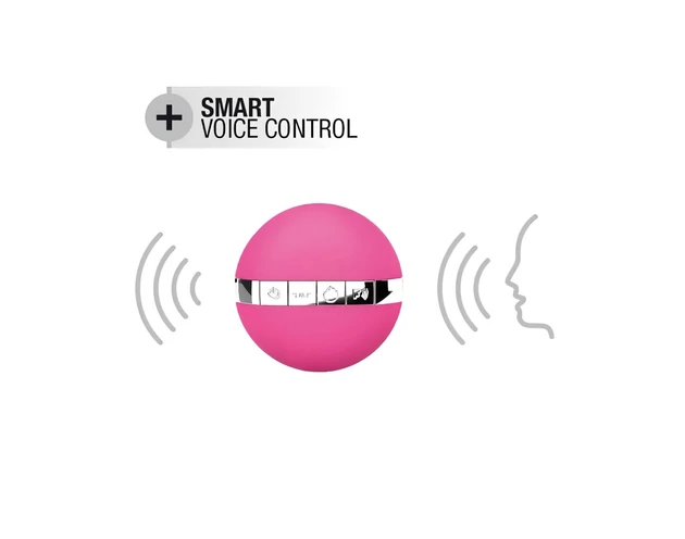 Dorcel Secret Delight - rádiós vibrotojás (pink)