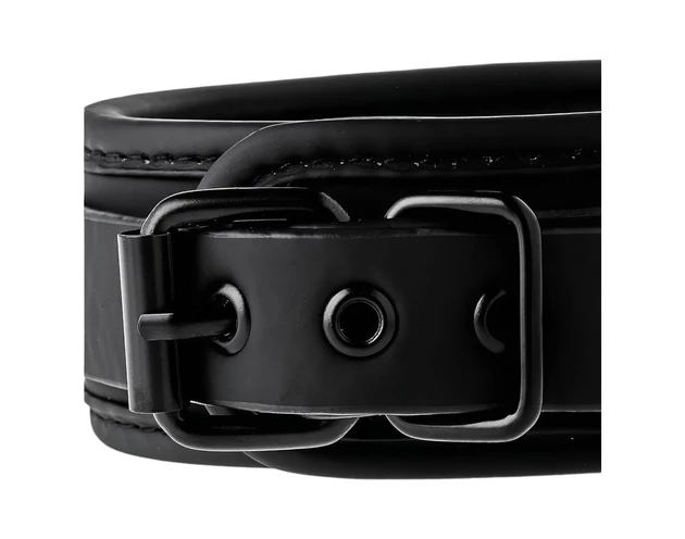 Blaze - nyakörv és póráz (fekete)