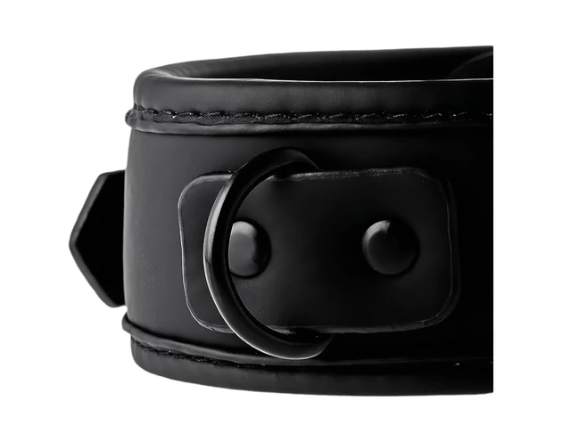 Blaze - nyakörv és póráz (fekete)