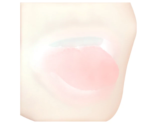 FWB - Lily Brooks 2in1 műszáj és műpunci (natúr)