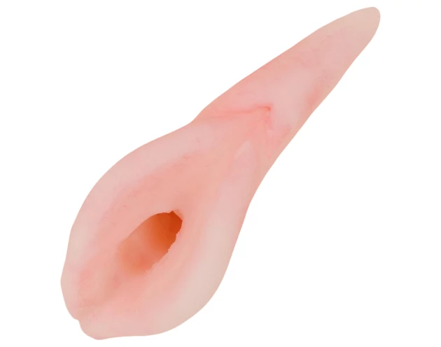 FWB - Natalie Reed élethű műpunci (natúr)